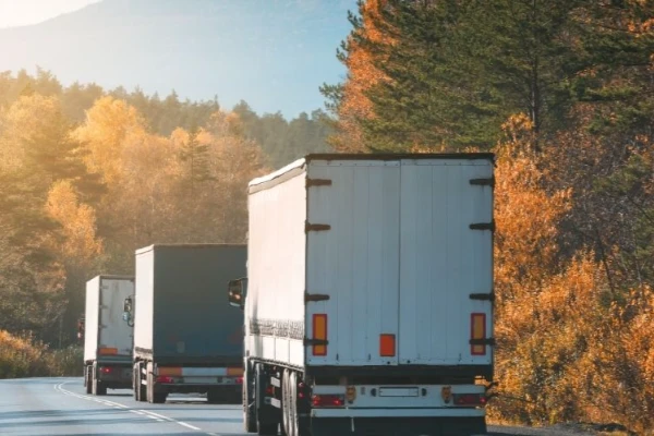 Elazığ Samsun Nakliyat